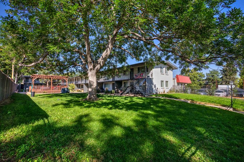 Clay Street Apartments, 4373 Clay Street, Denver, CO RentCafe